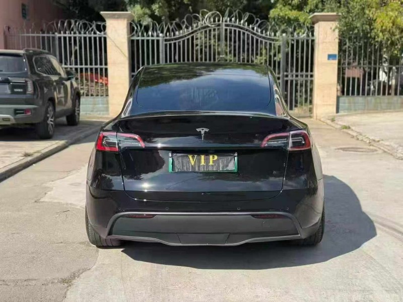 平顶山24年特斯拉MODEL Y9