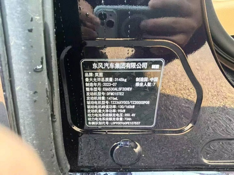 金华25年岚图汽车梦想家8