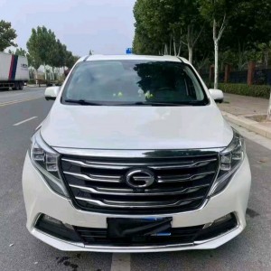 新乡18年传祺M8/GM8
