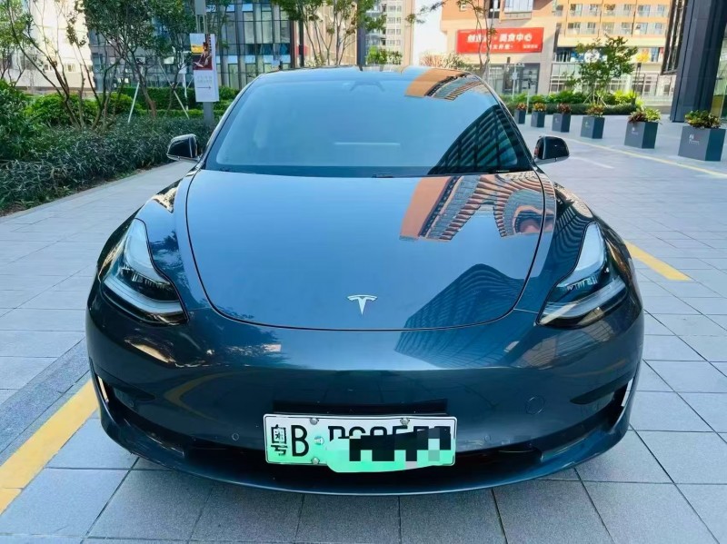 广州20年特斯拉MODEL 31
