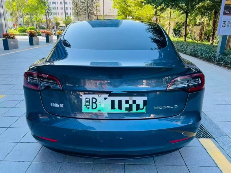 广州20年特斯拉MODEL 39